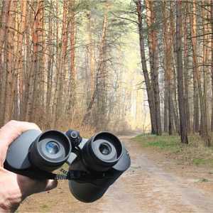 binoculars-in-mans-hand-on-background-of-pine-coniferous-forest-in-picture-id1256114629